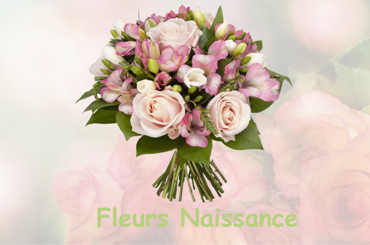 fleurs naissance SAINT-OUEN-LA-ROUERIE